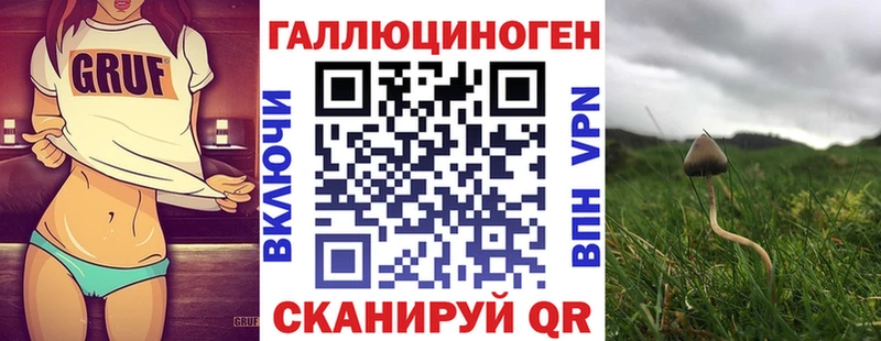 что такое   Красноярск  Галлюциногенные грибы мухоморы 